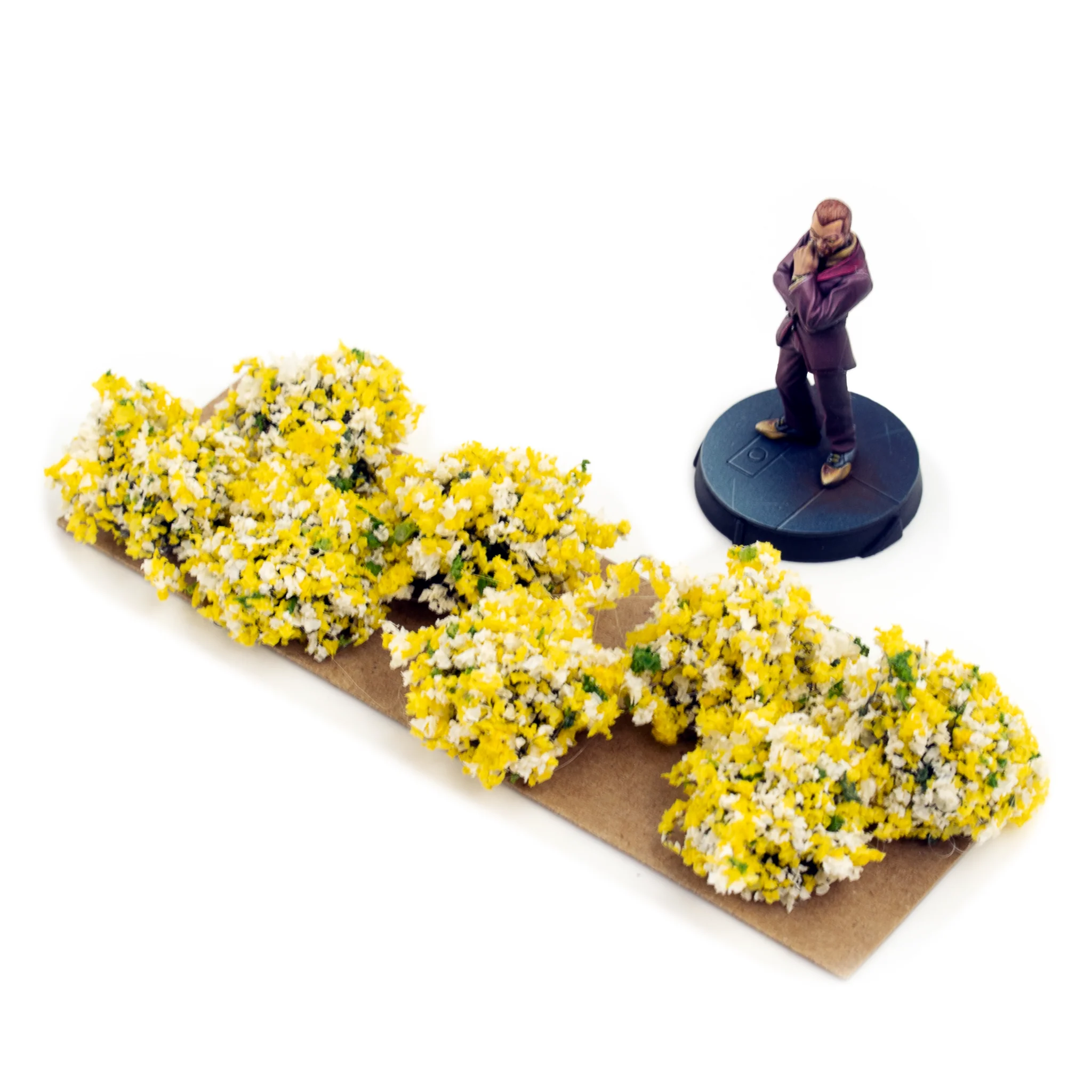 Border Plants - Image 4