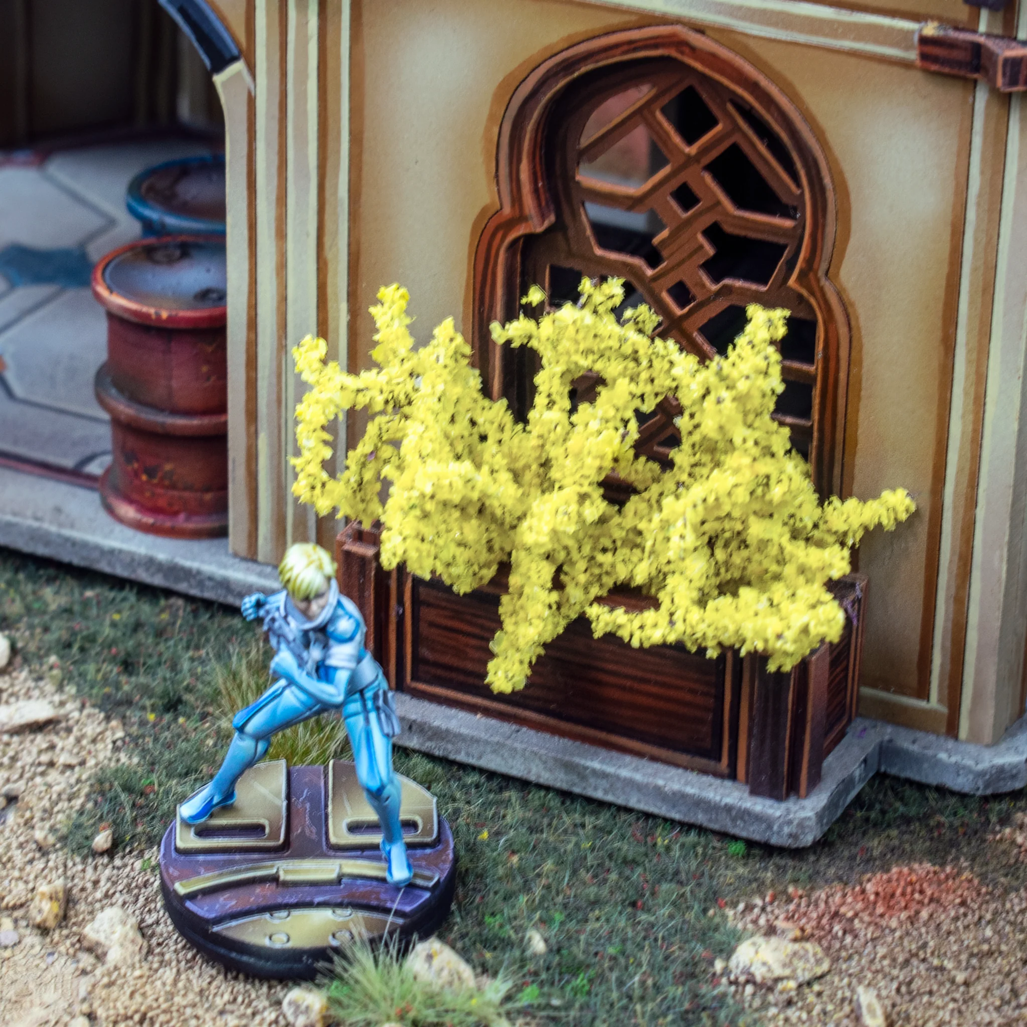 Forsythia Bushes - Image 2