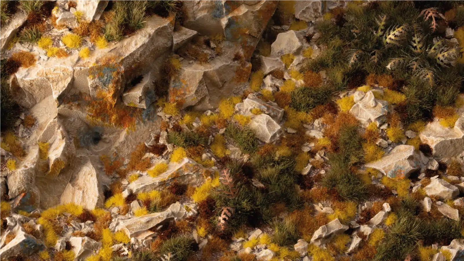 Golden Autumn Glade Basing Box - Image 3