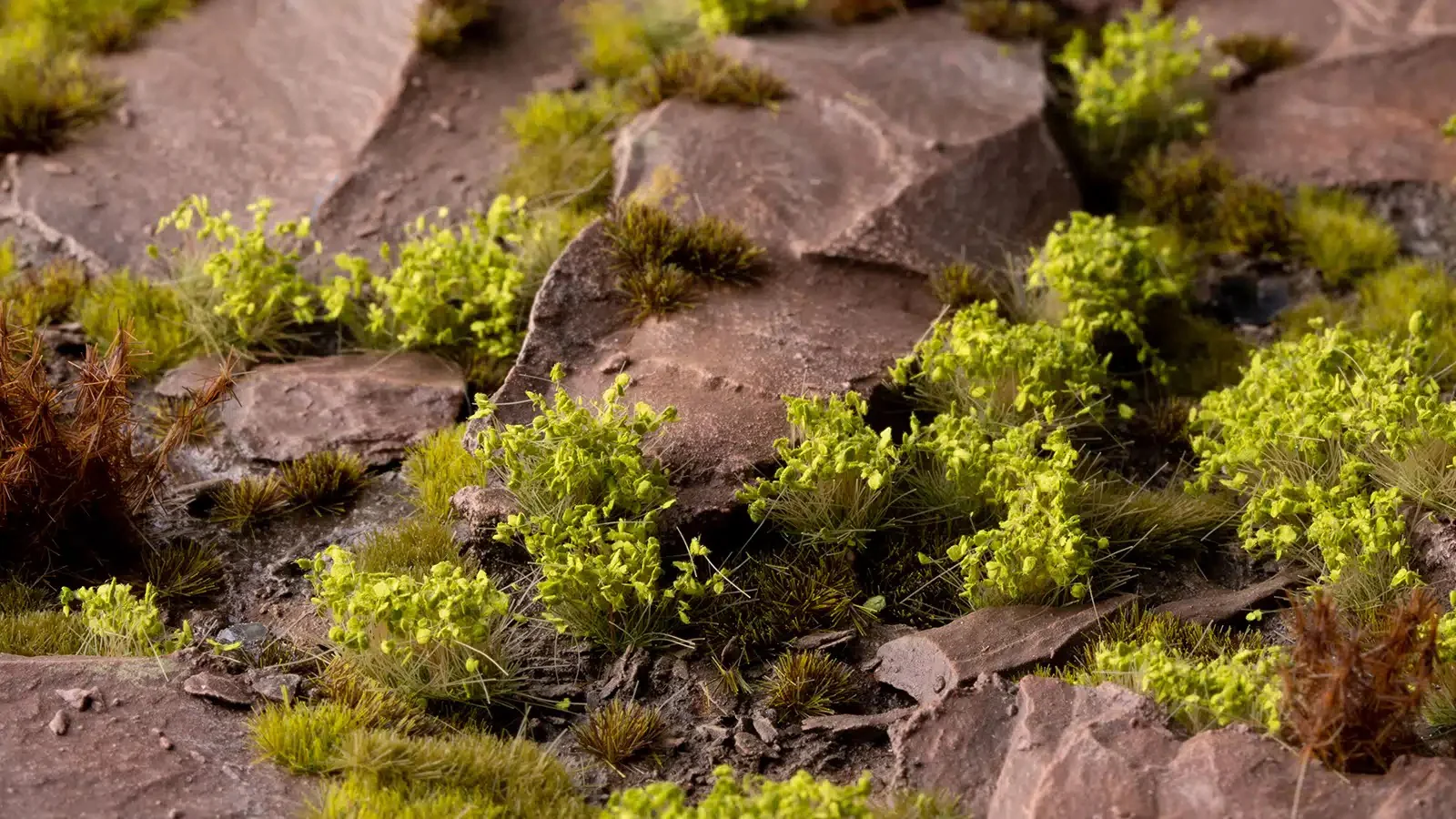 Green Shrubs - Image 2