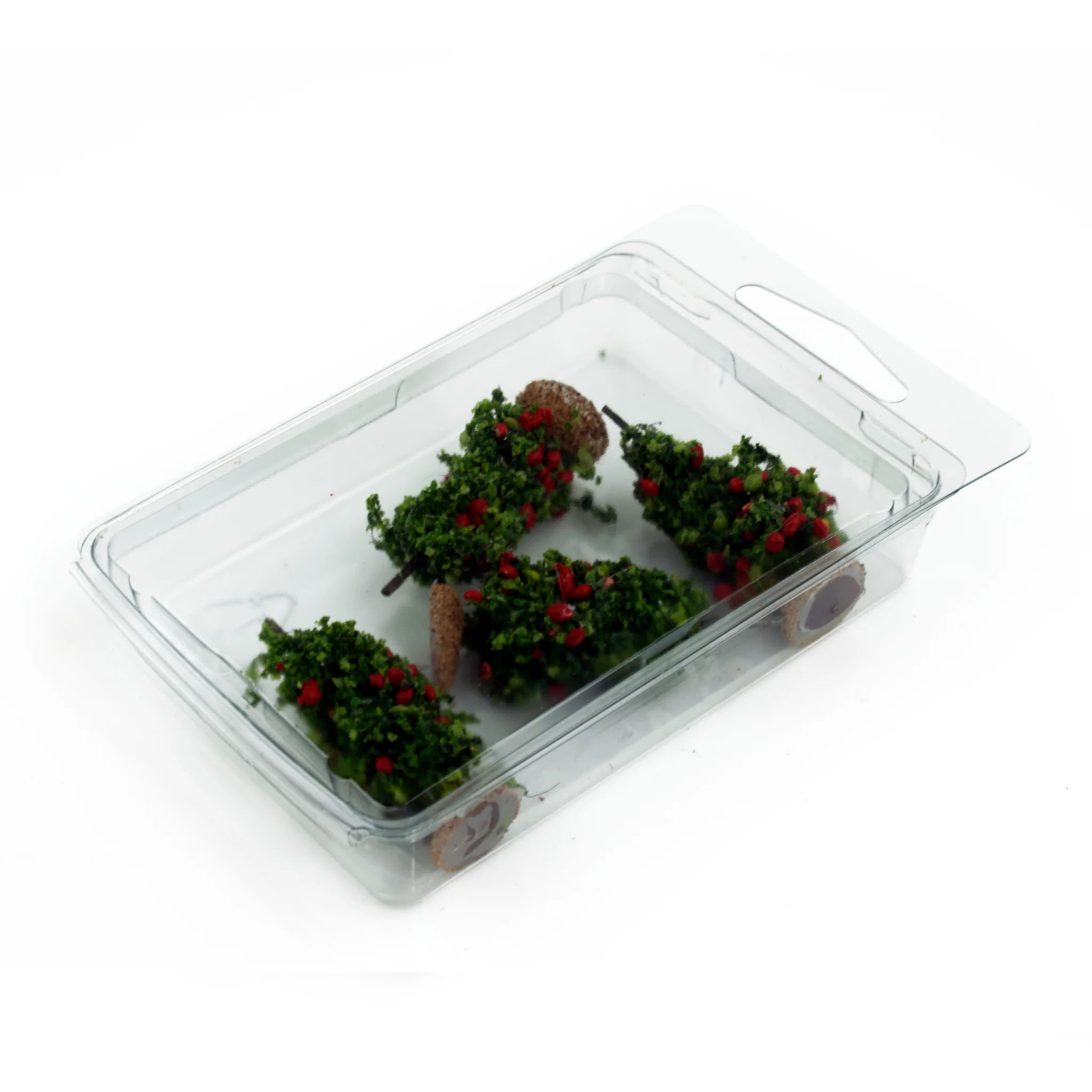 Tomato Plants - Image 3