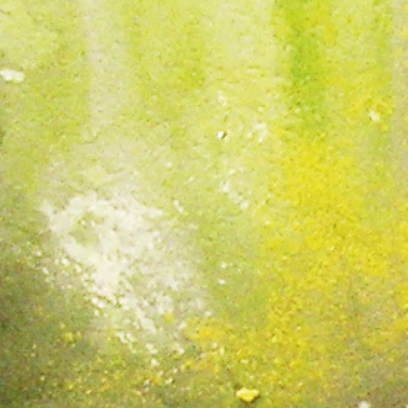 Vallejo Weathering FX: Slimy Grime Light - Image 2